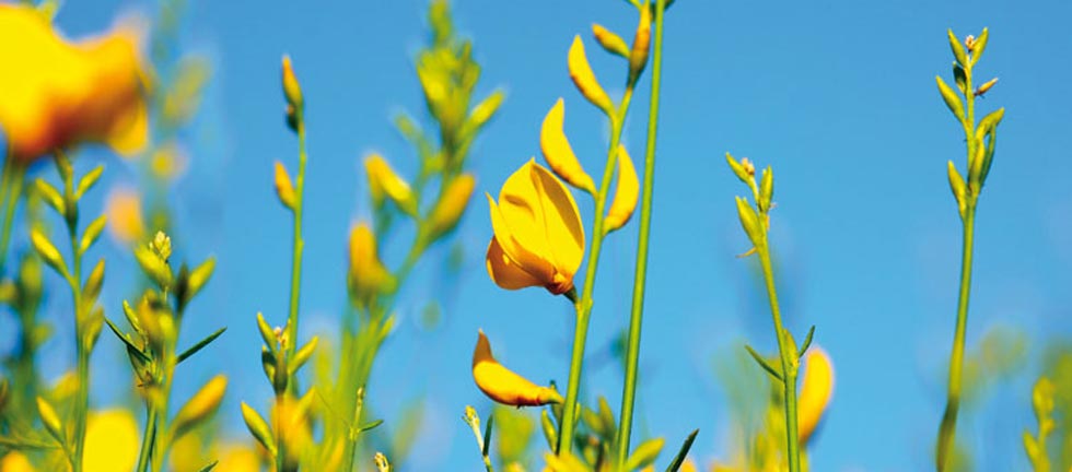 تهویه مطبوع چیست - شرکت مهندسی و مشاوره صنایع مبتکران گلدیران